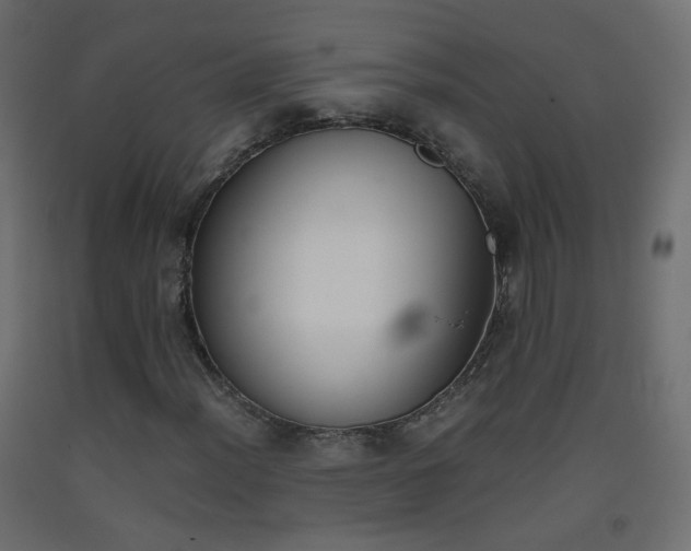 X0000093391012200710111511