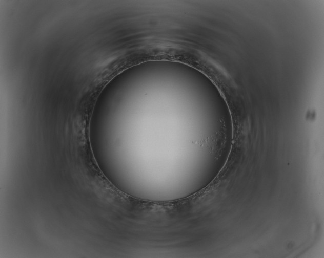 X0000093391013200710111511