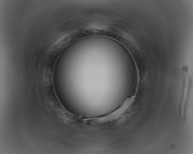 X0000093391014200710111511