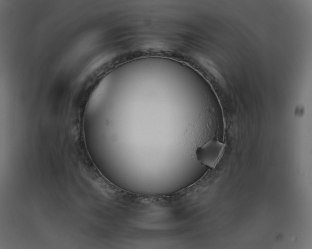 X0000093391015200710111511