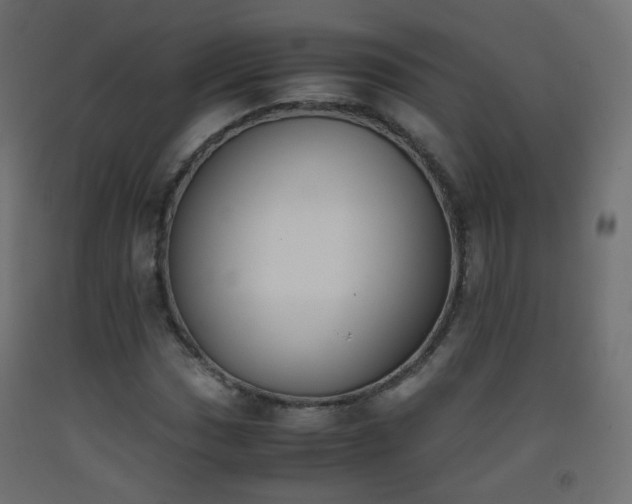 X0000093391017200710111511