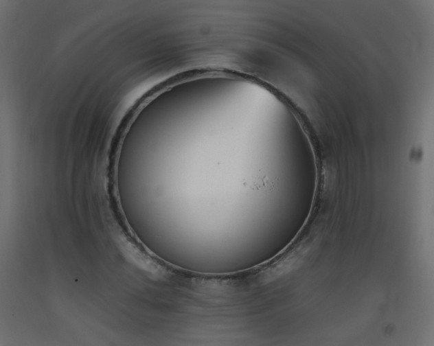 X0000093391020200710111511