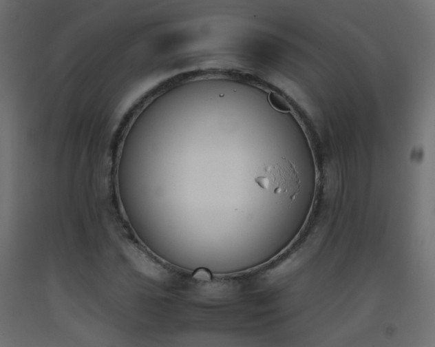 X0000093391021200710111511