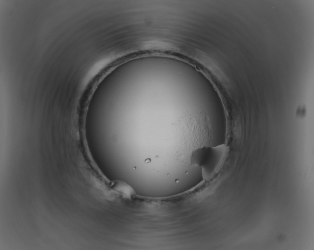 X0000093391022200710111511