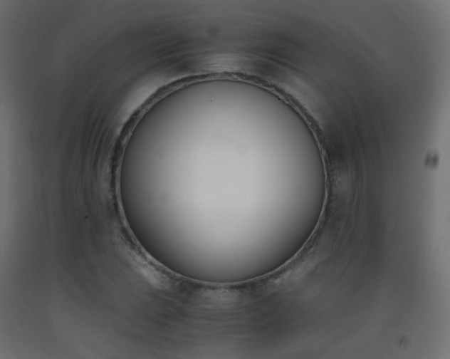 X0000093391023200710111511