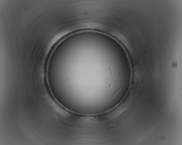 X0000093391024200710111511