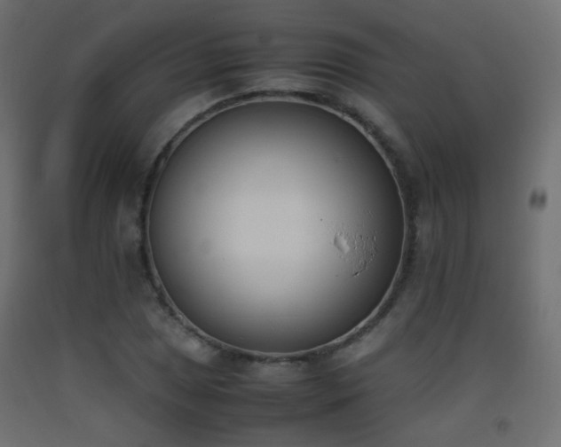 X0000093391025200710111511