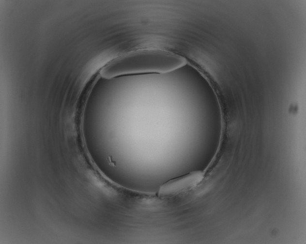 X0000093391026200710111511