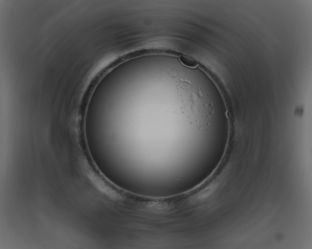 X0000093391029200710111511