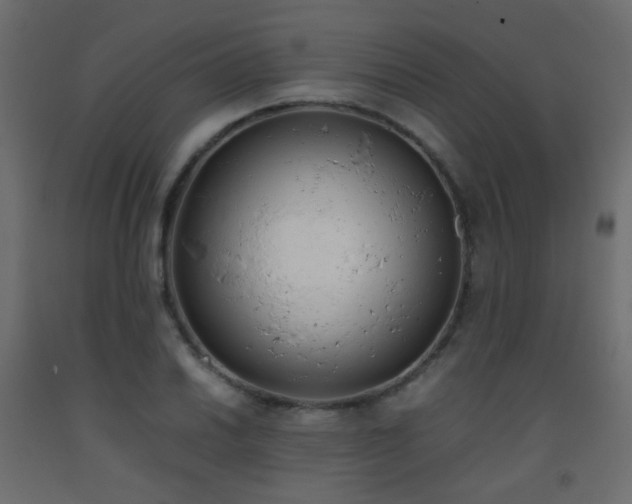 X0000093391030200710111511