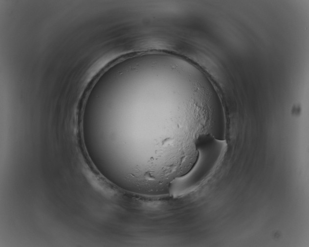 X0000093391031200710111511