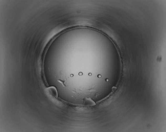 X0000093391032200710111511