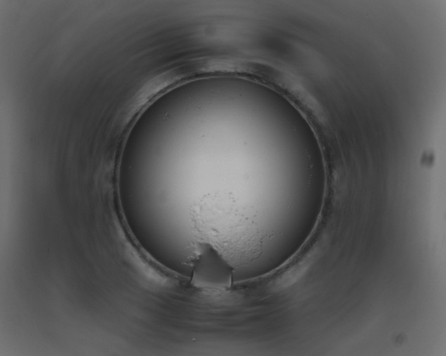 X0000093391033200710111511