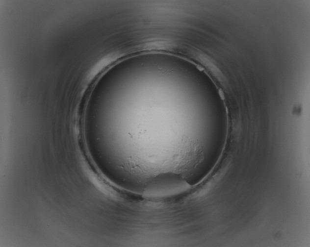 X0000093391034200710111511