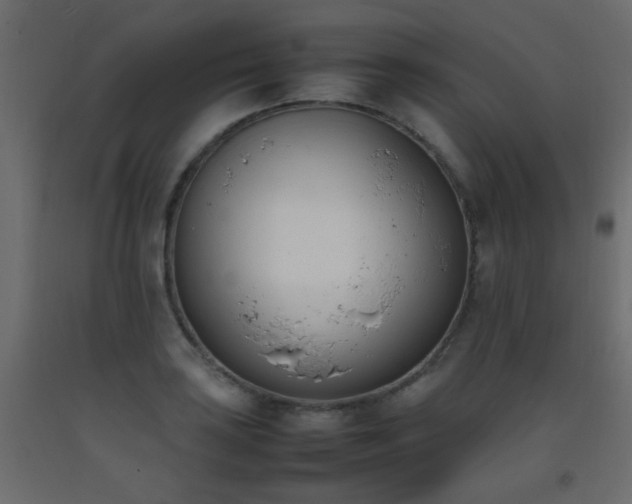 X0000093391035200710111511