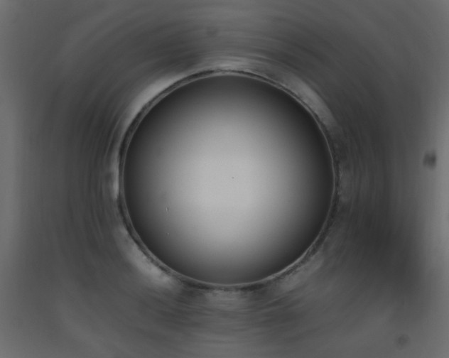 X0000093391036200710111511