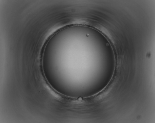 X0000093391037200710111511