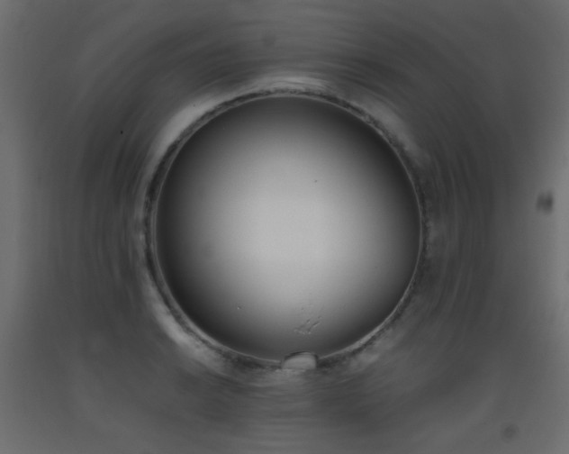 X0000093391038200710111511