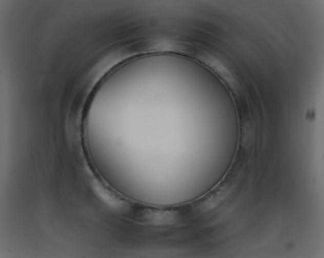 X0000093391039200710111511