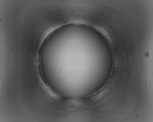 X0000093391040200710111511