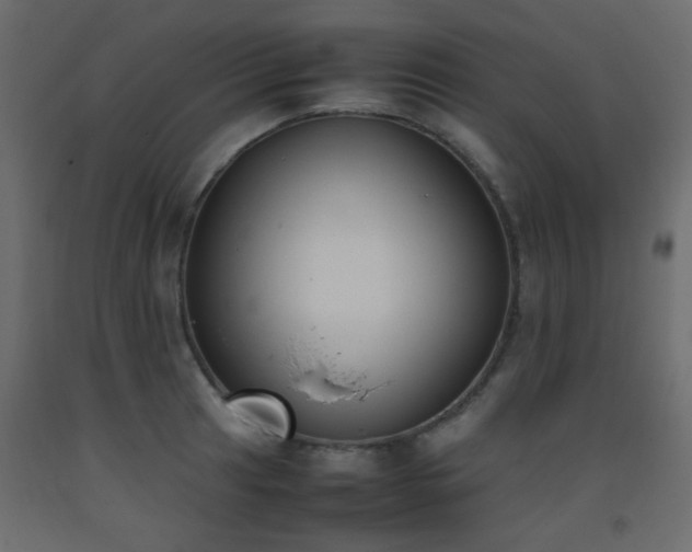 X0000093391041200710111511