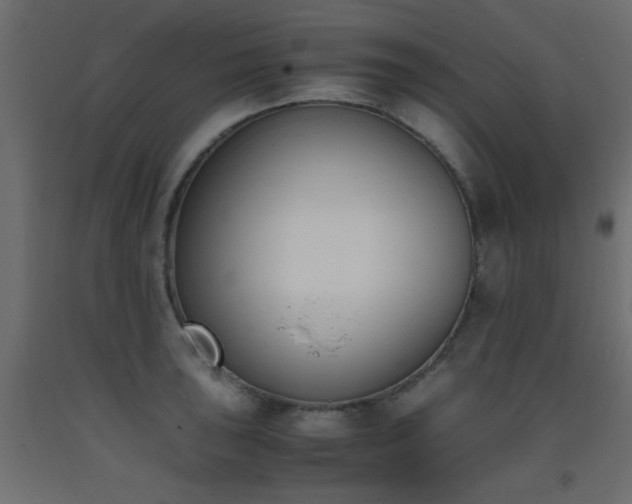 X0000093391043200710111511