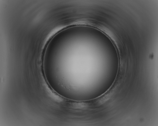 X0000093391045200710111511