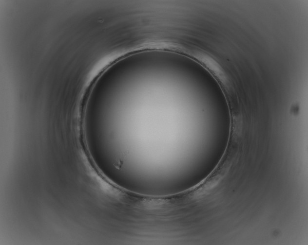 X0000093391046200710111511