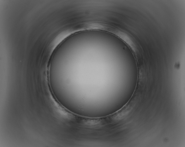 X0000093391047200710111511