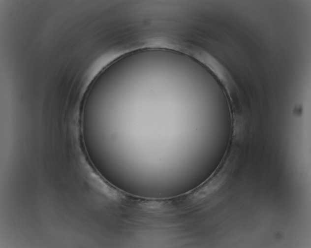 X0000093391048200710111511