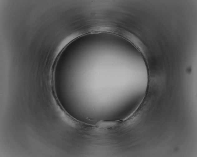 X0000093391050200710111511