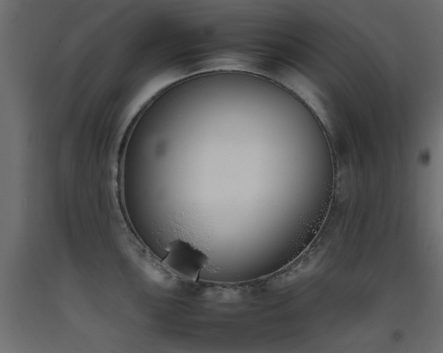 X0000093391051200710111511