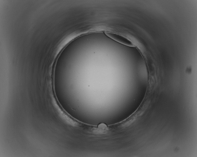 X0000093391055200710111511