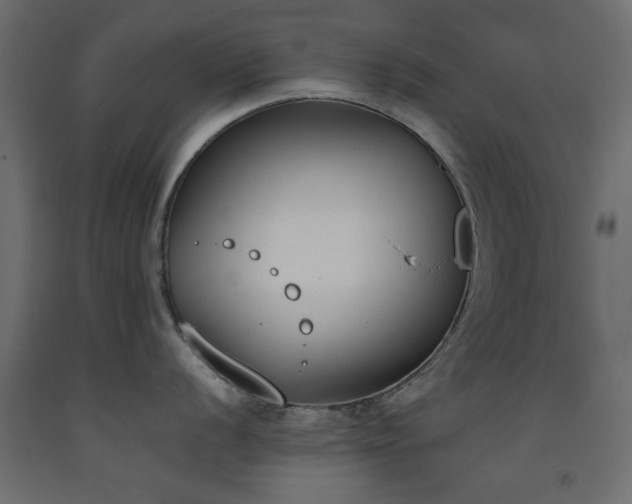 X0000093391056200710111511