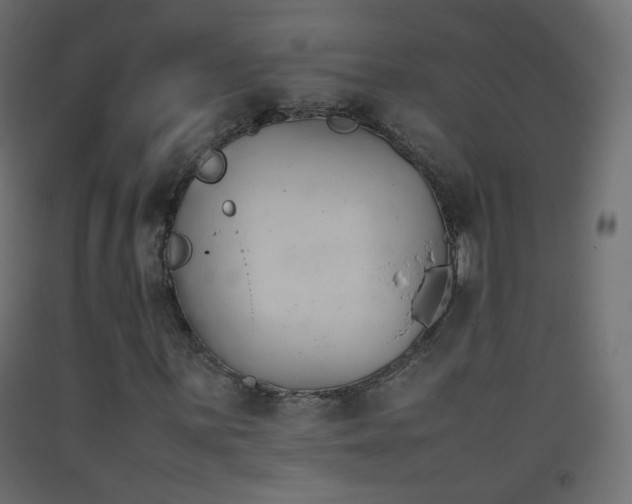 X0000093391059200710111511