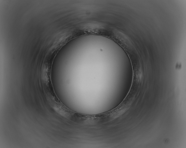 X0000093391060200710111511