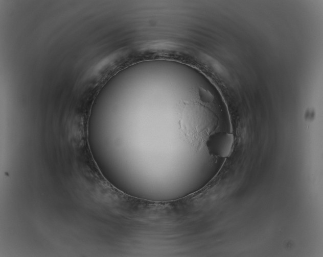 X0000093391062200710111511