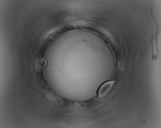 X0000093391063200710111511