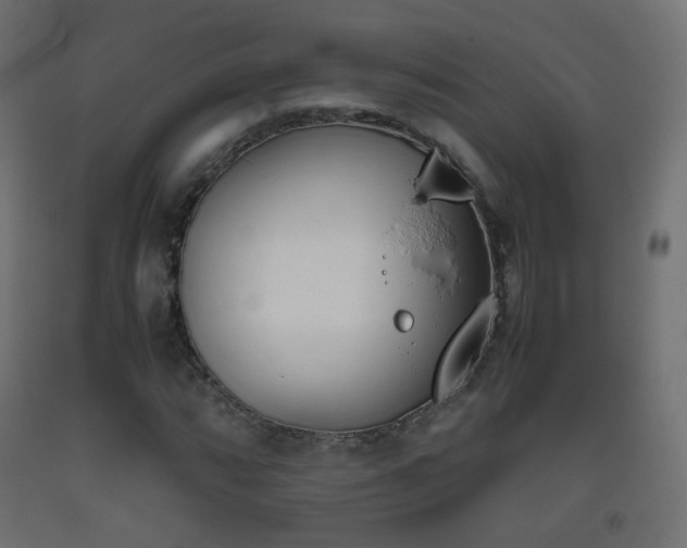 X0000093391064200710111511