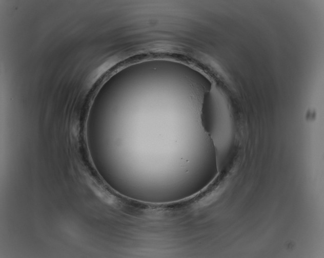 X0000093391065200710111511