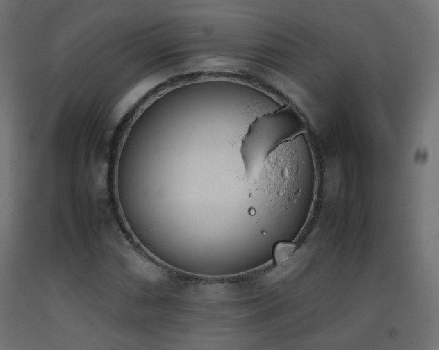 X0000093391066200710111511