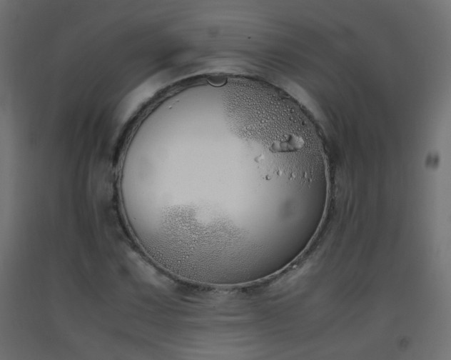 X0000093391067200710111511