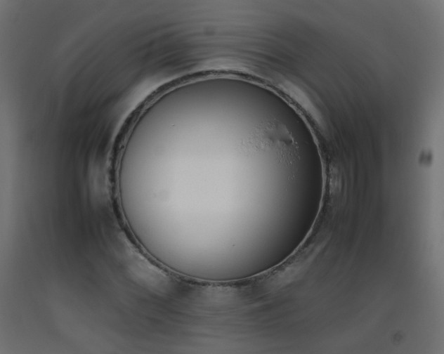 X0000093391068200710111511