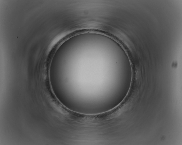 X0000093391069200710111511