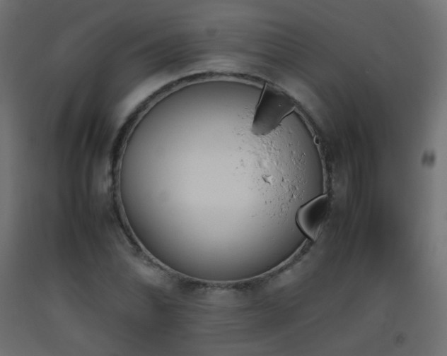 X0000093391070200710111511