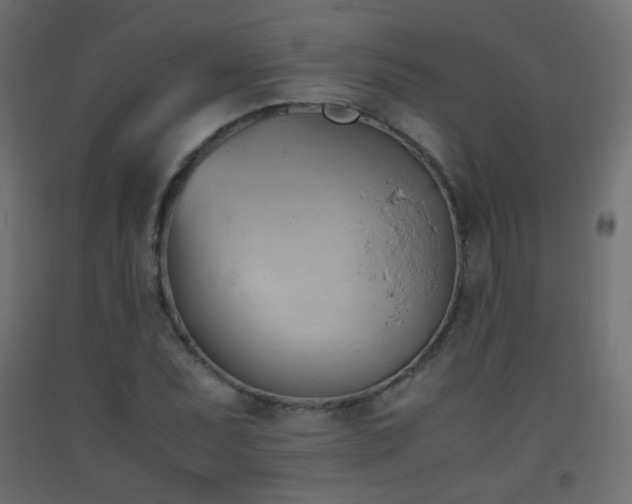 X0000093391071200710111511