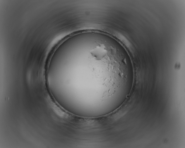 X0000093391072200710111511