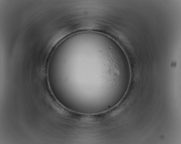 X0000093391073200710111511