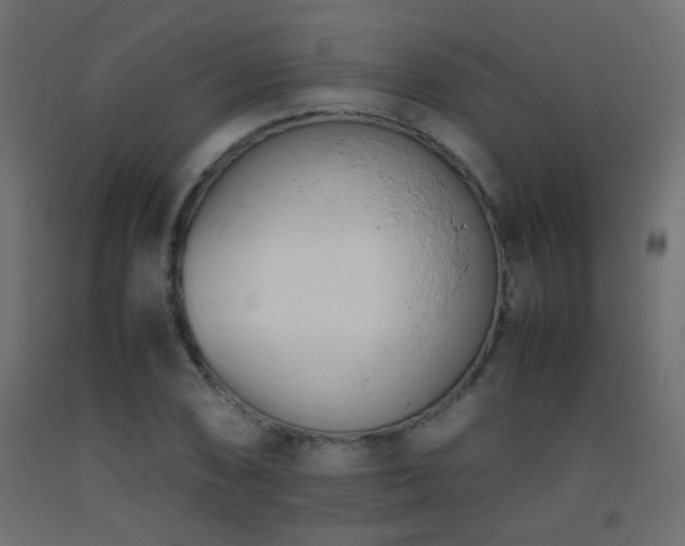 X0000093391074200710111511