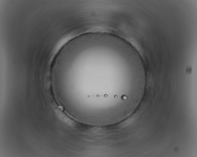 X0000093391075200710111511